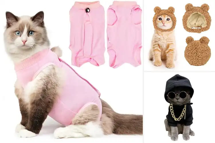 Detailed view of Best Cat Outfits