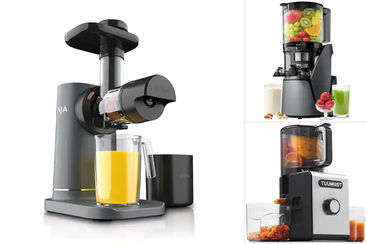 Detailed view of Best Cold Press Juicers