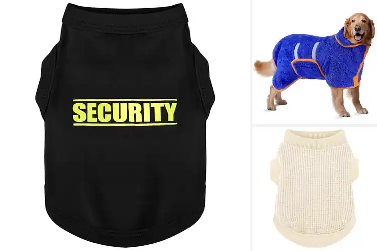 Detailed view of Best Dog Apparel: 10 Comfy & Stylish Picks for Your Pup