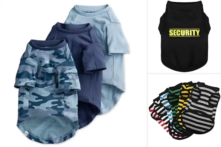 Detailed view of Best Dog Shirts