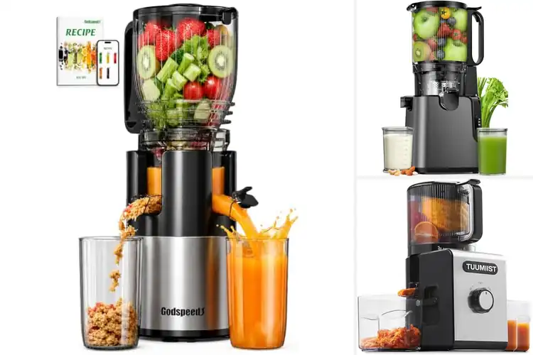 Detailed view of Best Easy Clean Juicers