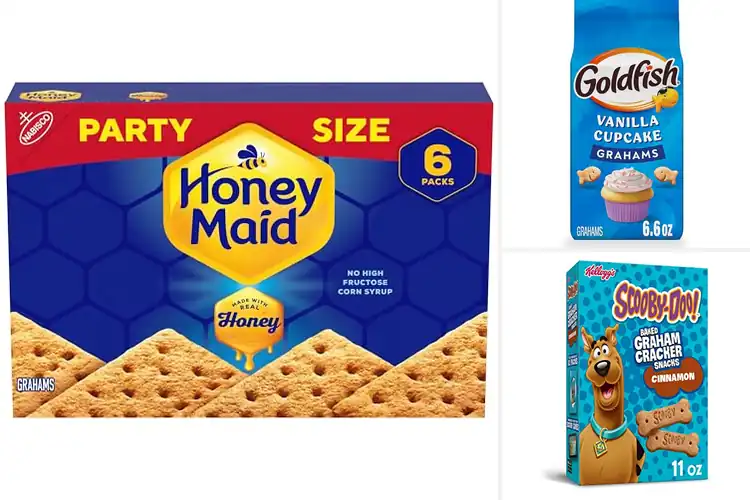 Detailed view of Best Graham Cookies: Snack-Ready Flavors You’ll Love