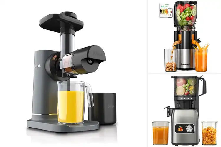 Detailed view of Best High Torque Juicers for Effortless Power