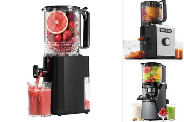 Detailed view of Best Large Feed Chute Juicers