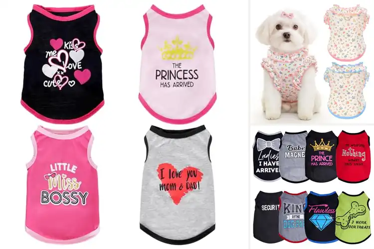 Detailed view of Best Puppy T-Shirts
