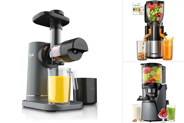 Detailed view of Best Slow Juicers for Smooth, Fresh Daily Drinks