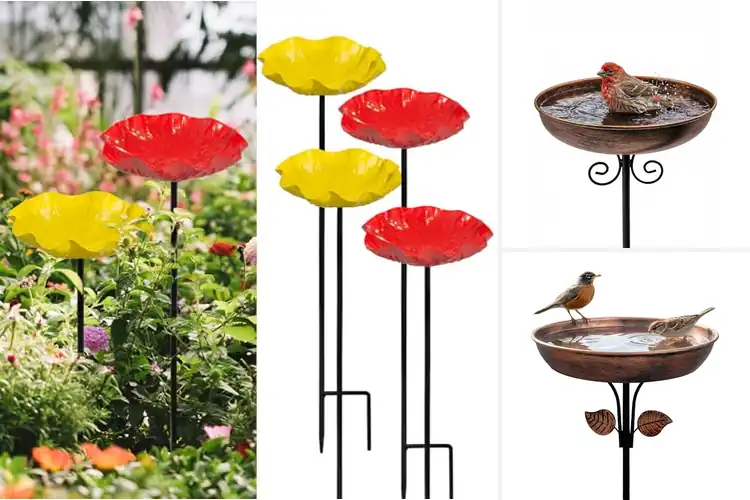 Detailed view of Best Small Bird Baths