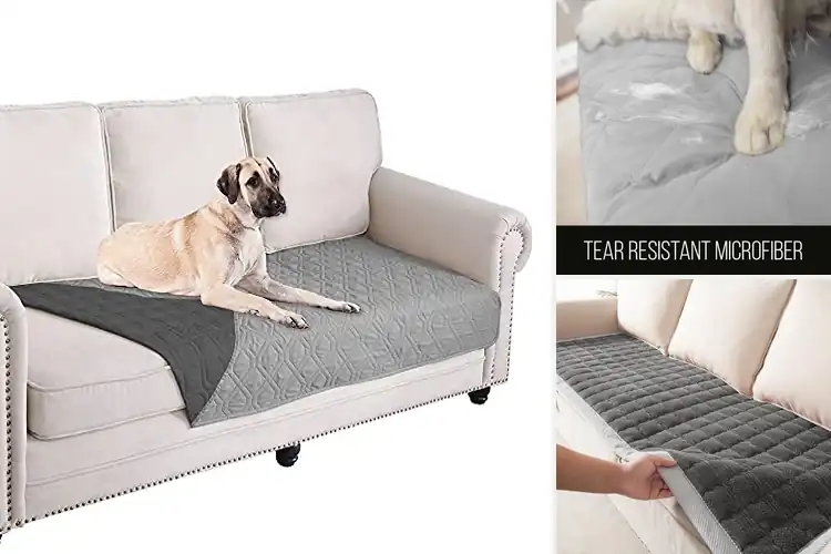 Detailed view of Best Sofa Shield Blankets