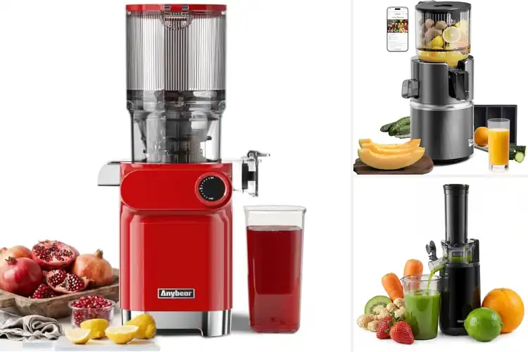 Detailed view of Best Tritan Material Juicers: Smooth, Safe, Daily Freshness